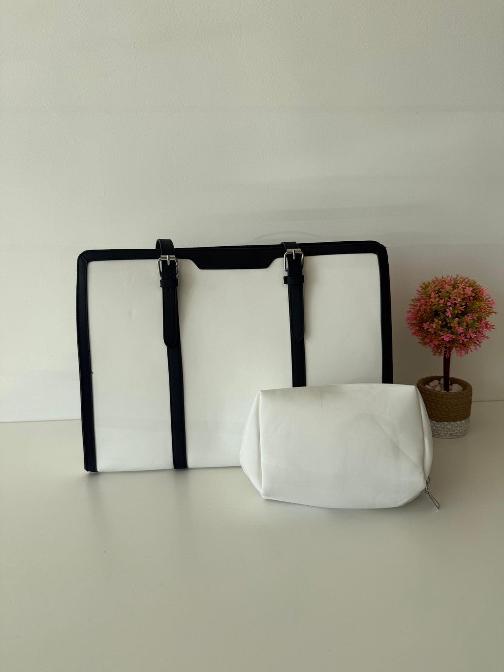 CARTERA UNIVERSITARIA.